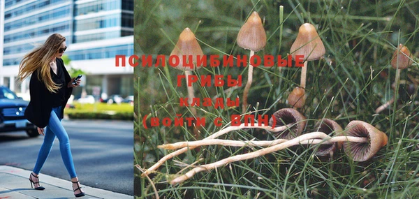 дмт Балабаново